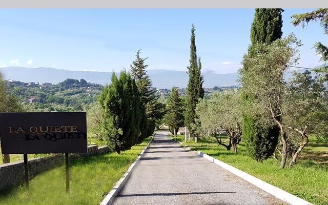 Guest house La Quiete 3*
