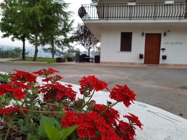 Guest house La Quiete 3*
