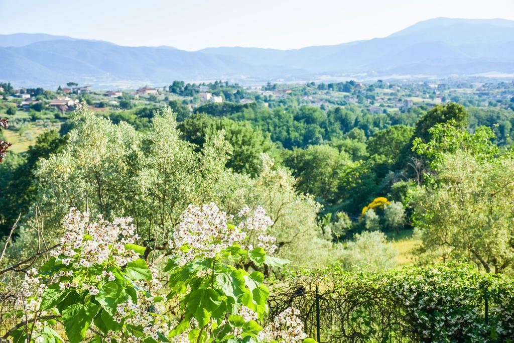La Quiete 3* Anagni