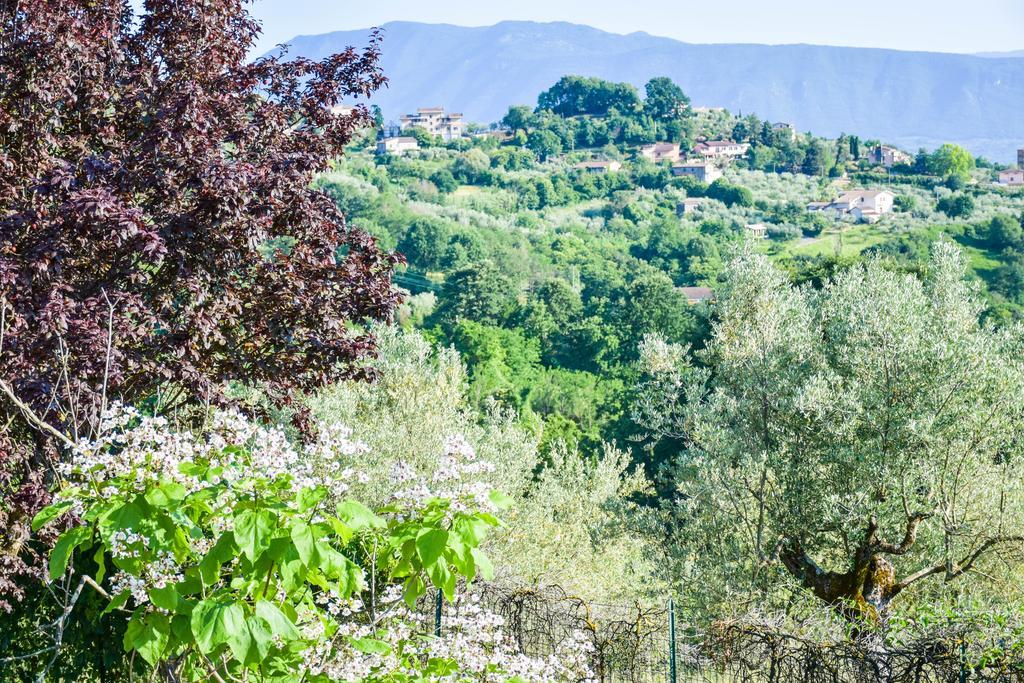 La Quiete
