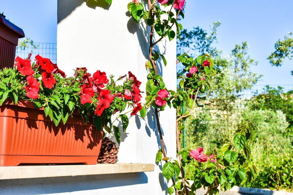 Guest house La Quiete 3*