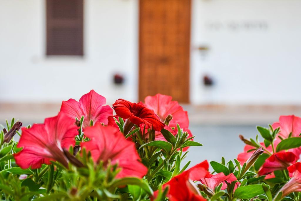 Guest house La Quiete Anagni